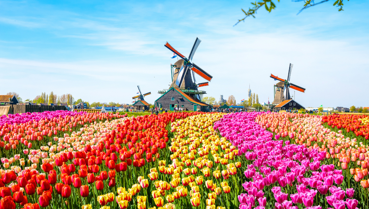 All inclusive cheap holidays to Netherlands - Low Cost Vibes Blog