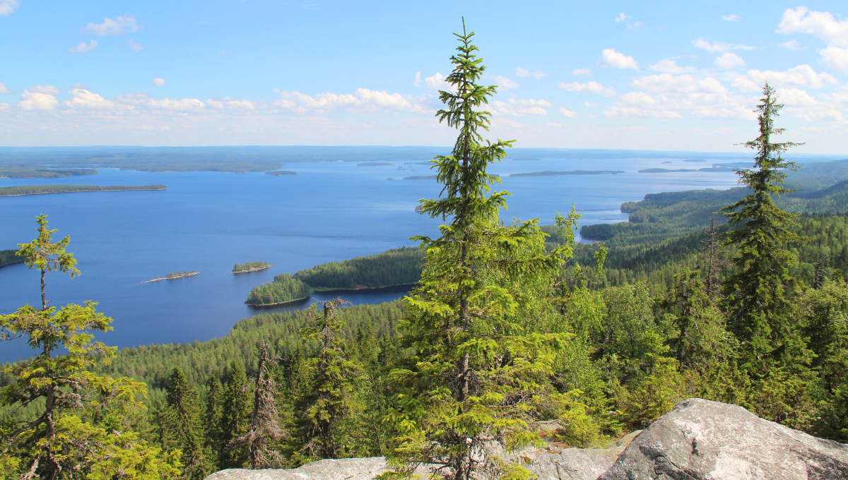 Koli National Park in Finland - Low Cost Vibes Blog