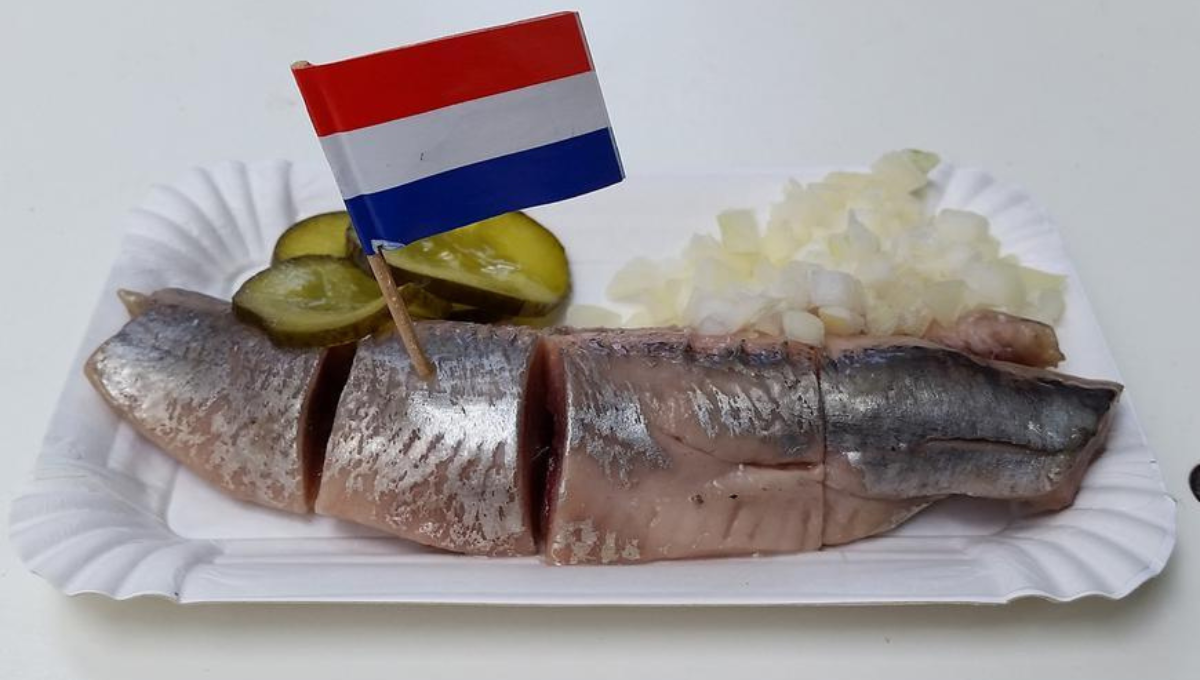 Raw Herring, delicious Dutch Dishes to try in Amsterdam - Low Cost Vibes Blog