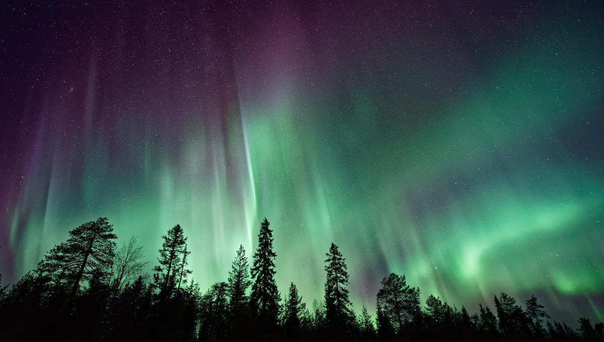 Watch the Northern lights - Low Cost Vibes Blog, Good Vibes Only