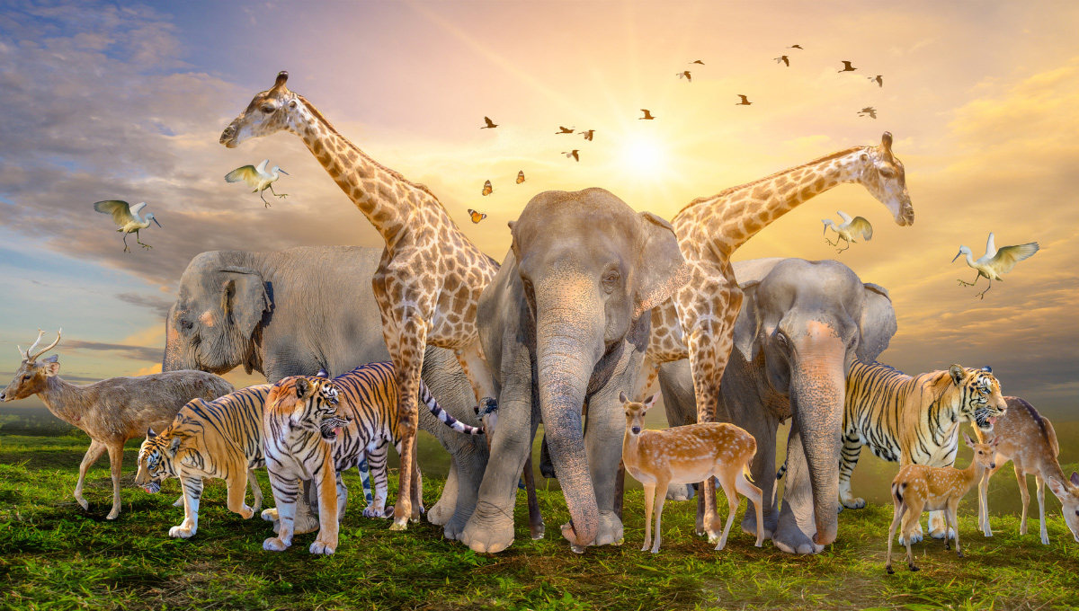 Best Zoos in Europe to Visit with Your Kids: Top 8 Picks